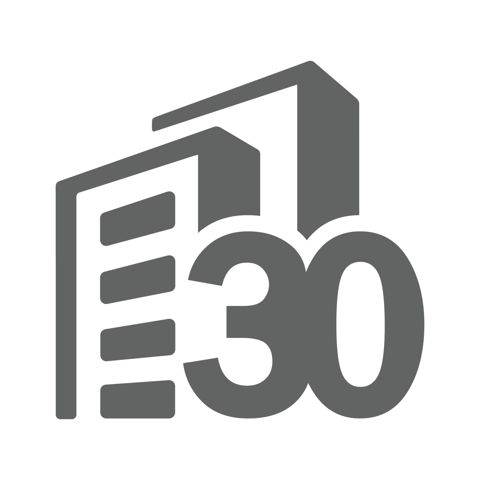 High Quality  Professional  factory